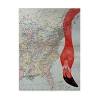 אמנות סימן מסחרי 'שלום פלמינגו' אמנות קנבס מאת ג'יין ווילסון