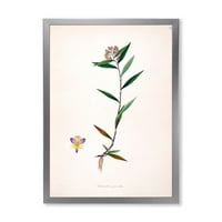 עיצוב אמנות' צמחים עתיקים שיקס ' בית חווה ממוסגר הדפס אמנות