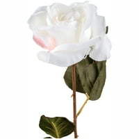 גזע ורד דקורטיבי לבן, כל אחד