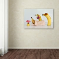 סימן מסחרי אמנות 'בננה חולה' אמנות קנבס מאת ז'קלין האמר