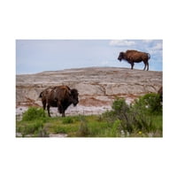 GORDON SEMMENS 'Enter The Badlands 10' Canvas Art