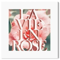 הדפסי סטודיו ווינווד La Vie En Rose Typogra
