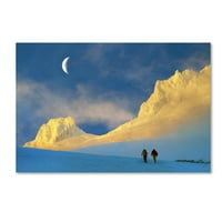 אמנות סימן מסחרי 'לאמנות קפואה של הר קפוא' מאת ויליאם לי