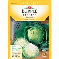 Burpee-Cabe