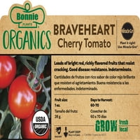 צמחי בוני אורגני אור אורגני עגבניות דובדבן 19. עוז