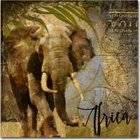 סימן מסחרי אמנות טעם של אפריקה III אמנות קנבס לפי מאפייה צבעונית