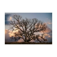 סימן מסחרי אמנות 'גרנד אלון עץ השני' בד אמנות על ידי רחל פרי