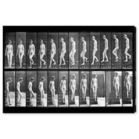 ווינווד סטודיו קלאסי ופיגורטיבי קיר אמנות בד הדפסי 'מייברידג' של אישה הליכה ' עירום-שחור, לבן