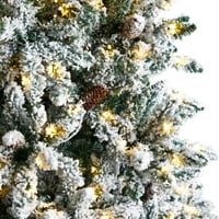 כמעט טבעי של ליווינגסטון ברור הוביל את עץ חג המולד של אורן אורן לבן, 8 '
