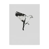 סימן מסחרי אמנות 'ציפור מעופפת I' אמנות קנבס מאת אינקאדו