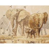 עוגן מאיה ספירת פילים אפריקאים ויוני נמקה ספרים ערכת תפר צולבת, 11- על 15- 051329